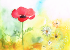 Die Königin der Blumenwiese Juni 2020, Aquarell auf Papier, 40x30cm